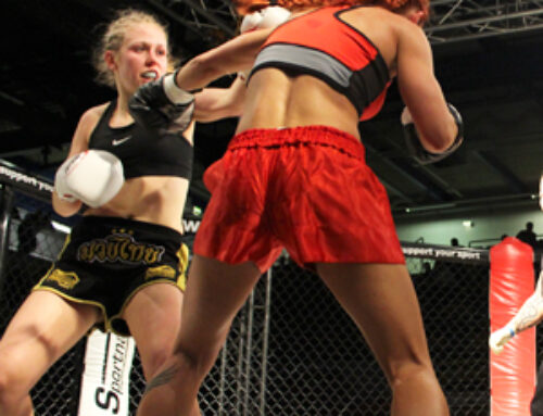 Mix Fight Night Wels – Fotos!